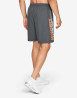 náhled UA Woven Wordmark Shorts-GRY