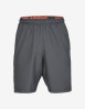 náhled UA Woven Wordmark Shorts-GRY