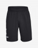 náhled Pánské kraťasy Under Armour UA Sportstyle Cotton Shorts-BLK