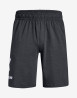 náhled UA COTTON BIG LOGO SHORTS-GRY