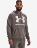 náhled Pánská mikina Under Armour UA Rival Fleece Big Logo HD-BRN