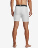 náhled Pánské šortky Under Armour UA HG Armour Shorts-WHT