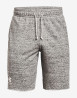 náhled Pánské kraťasy Under Armour UA RIVAL TERRY SHORT-WHT