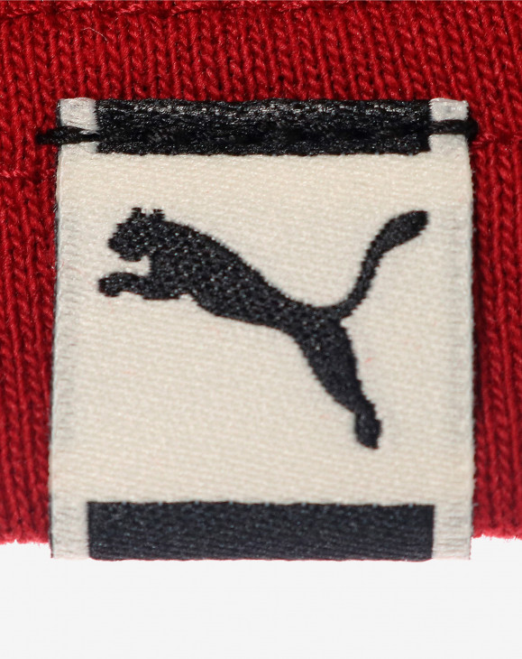 detail Pánské tričko s krátkým rukávem Puma Downtown Graphic Tee