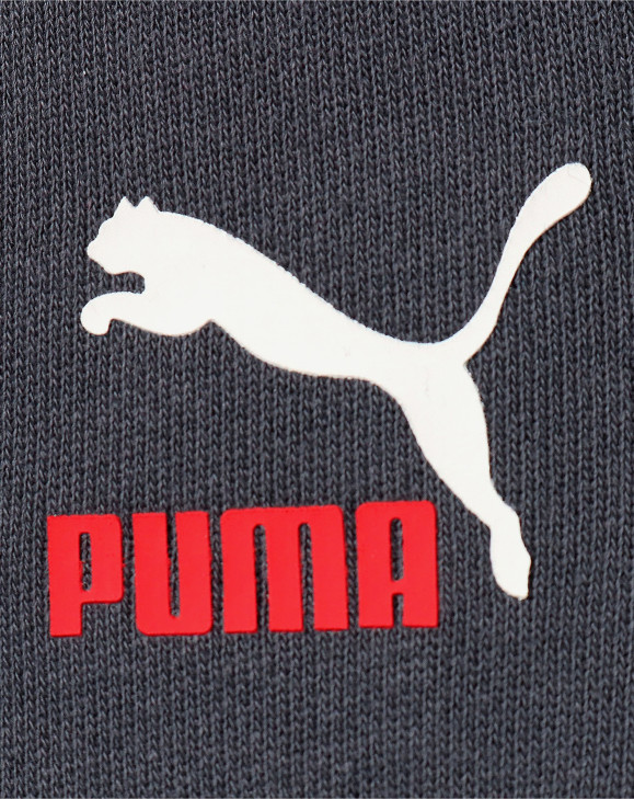 detail Pánské kraťasy Puma CLSX Shorts TR