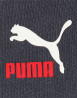 náhled Pánské kraťasy Puma CLSX Shorts TR