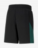 náhled Pánské šortky Puma MAPF1 Sweat Shorts