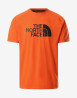 náhled Pánské tričko s krátkým rukávem The North Face M WICKER GRAPHIC CREW-EU