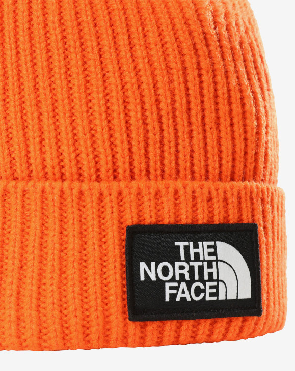 detail TNF LOGO BOX CUFFED BEANIE