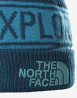 náhled RETRO TNF POM BEANIE