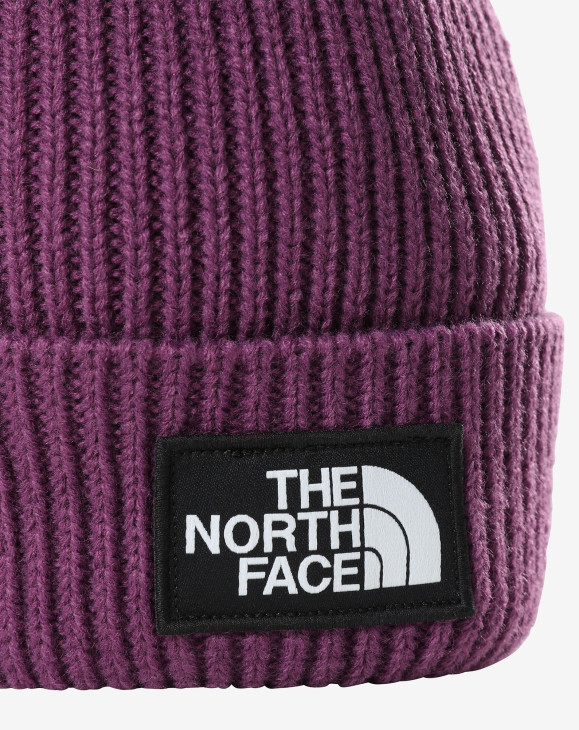 detail TNF LOGO BOX POM BEANIE