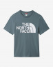 náhled Pánské tričko s krátkým rukávem The North Face M STANDARD SS TEE - EU