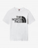 náhled Pánské tričko s krátkým rukávem The North Face M STANDARD SS TEE - EU