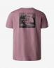 náhled Pánské tričko s krátkým rukávem The North Face M S/S REDBOX CELEBRATION TEE
