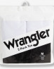 náhled Pánské tričko s krátkým rukávem Wrangler 2 PACK TEE WHITE